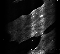 ascat_grayscale_ch1.png